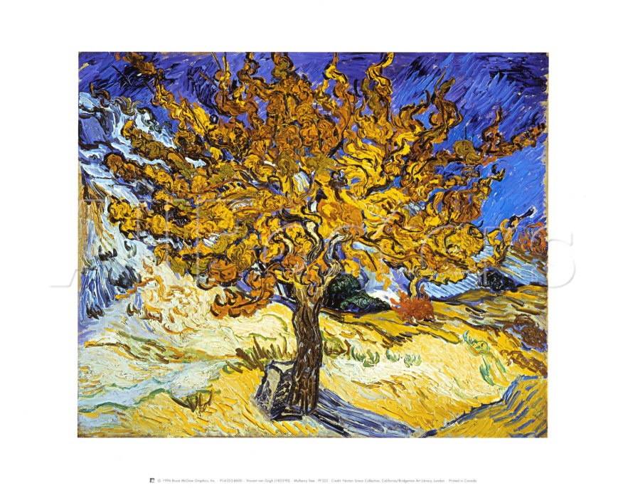 Mulberry Tree - Van Gogh Painting On Canvas